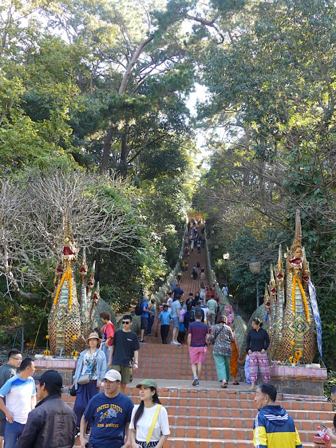 5E3A902A-082E-4088-B61B-67A637DEAAC9